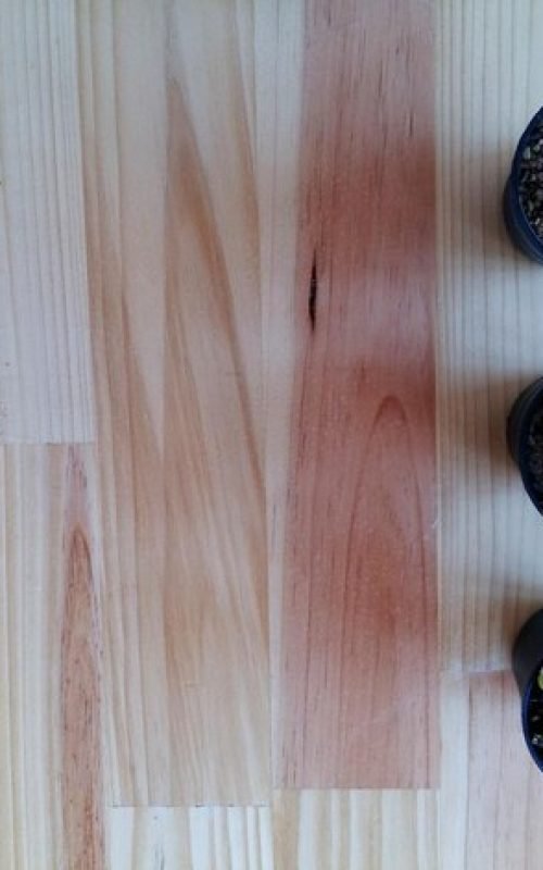 high-angle-view-cat-wooden-table_1048944-14933384